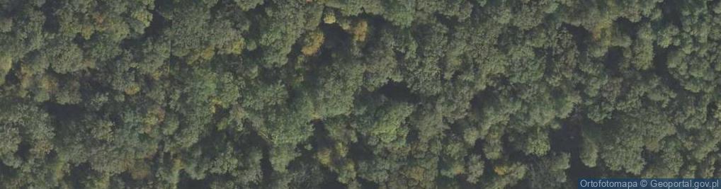 Zdjęcie satelitarne Rezerwat Serniawy