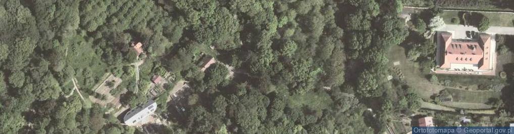 Zdjęcie satelitarne Rezerwat Skałki Przegorzalskie