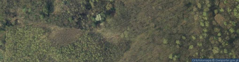 Zdjęcie satelitarne Rezerwat Skarpa Jaksmanicka