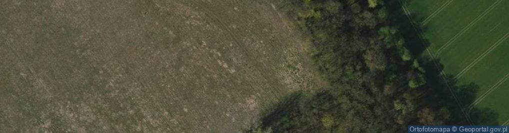 Zdjęcie satelitarne Rezerwat Skarpa Oborska