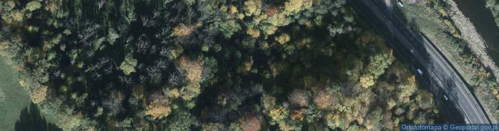 Zdjęcie satelitarne Rezerwat Skarpa Wiślicka