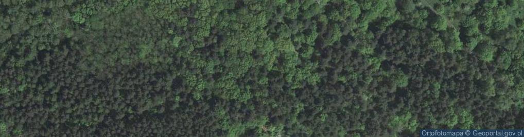 Zdjęcie satelitarne Rezerwat Skołczanka