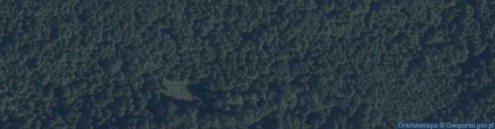 Zdjęcie satelitarne Rezerwat Sokół