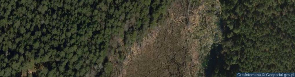 Zdjęcie satelitarne Rezerwat Stara Ruda