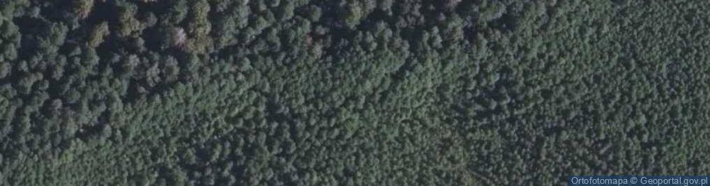 Zdjęcie satelitarne Rezerwat Stare Biele