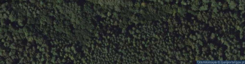 Zdjęcie satelitarne Rezerwat Studnica