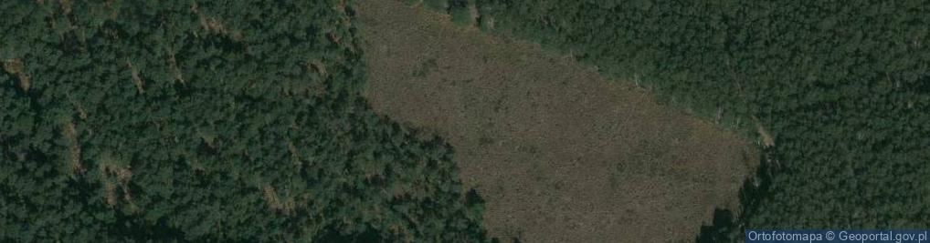 Zdjęcie satelitarne Rezerwat Suchy Łuk