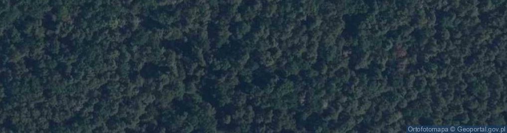 Zdjęcie satelitarne Rezerwat Tomczyce