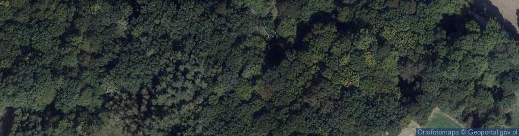 Zdjęcie satelitarne Rezerwat Tomkowo