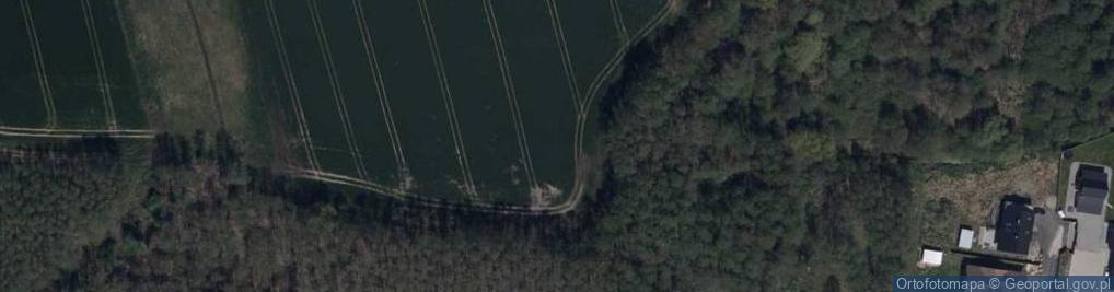 Zdjęcie satelitarne Rezerwat Torfowisko Kunickie