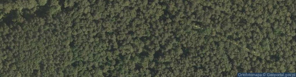 Zdjęcie satelitarne Rezerwat Torfowisko pod Węglińcem