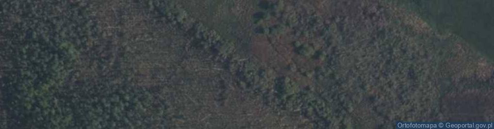 Zdjęcie satelitarne Rezerwat Torfowisko Spytkowo