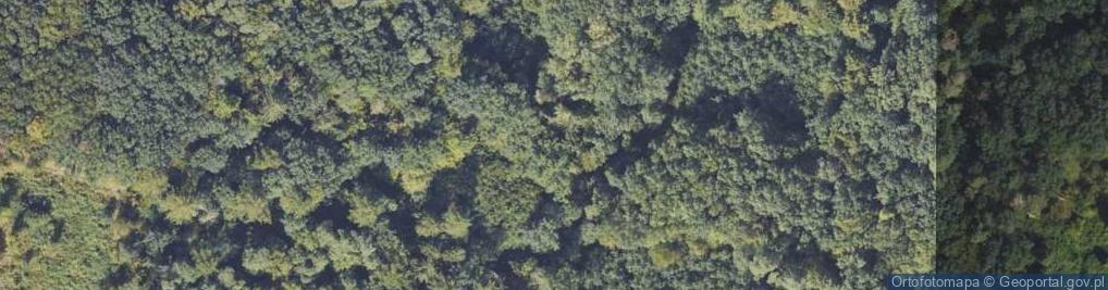 Zdjęcie satelitarne Rezerwat Uroczysko Nasiegniewo im. dr Wiesława Cyzmana