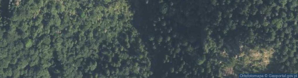 Zdjęcie satelitarne Rezerwat Wąwóz Homole