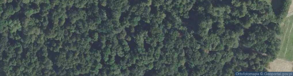 Zdjęcie satelitarne Rezerwat Wąwóz w Skałkach