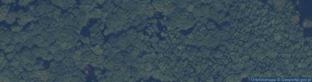 Zdjęcie satelitarne Rezerwat Wyspa Sołtyski