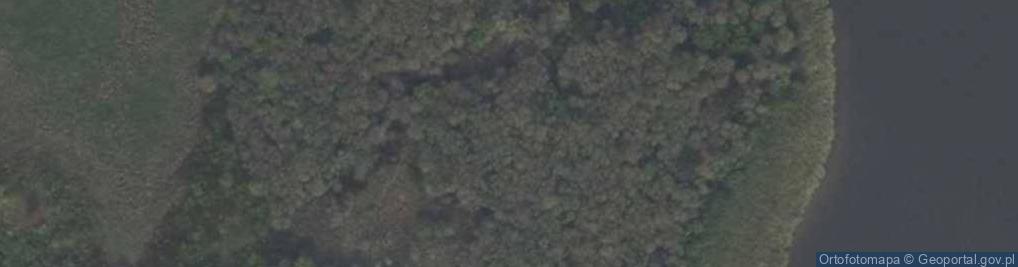 Zdjęcie satelitarne Rezerwat Wyspy na Jeziorze Bytyńskim