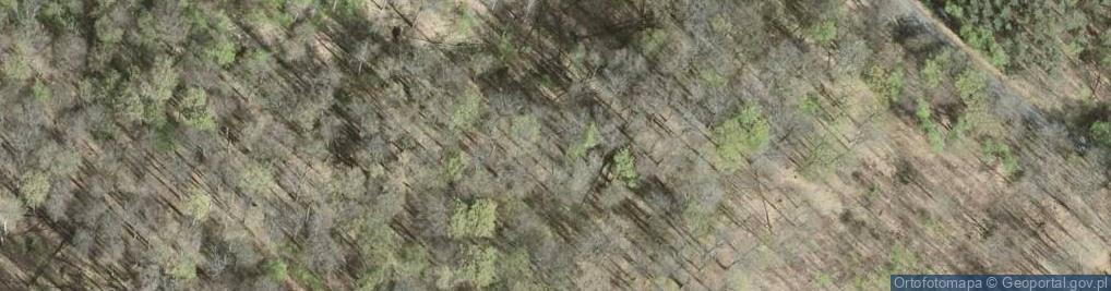 Zdjęcie satelitarne Rezerwat Wzgórze Joanny