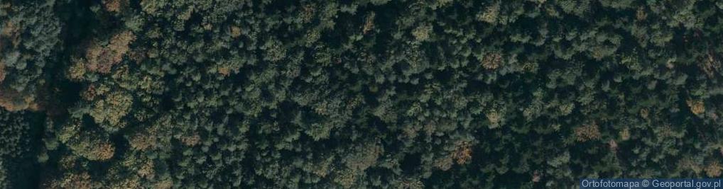Zdjęcie satelitarne Rezerwat Zmysłówka