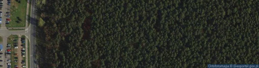 Zdjęcie satelitarne Rezerwat Żurawiniec