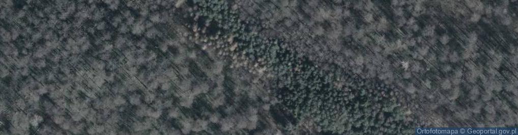 Zdjęcie satelitarne Rogoźnica