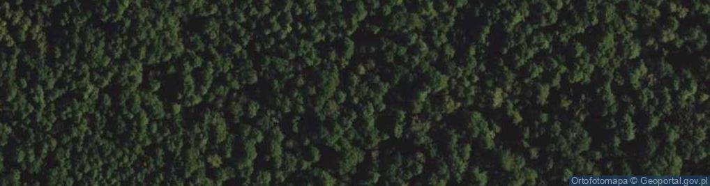 Zdjęcie satelitarne Sieraków