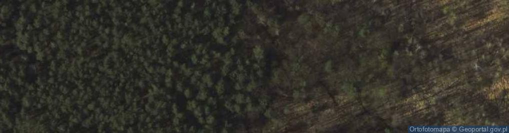 Zdjęcie satelitarne Zaborów Leśny