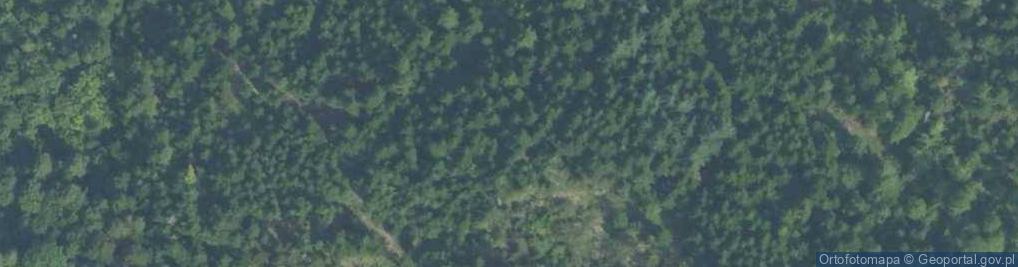 Zdjęcie satelitarne Zamczysko nad Rabą