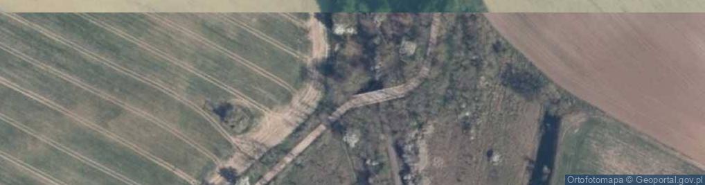Zdjęcie satelitarne Trasa rowerowa R20 Trzcińsko Zdrój – Siekierki (granica)