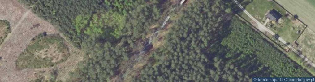 Zdjęcie satelitarne Dzikie zwierzęta dziki, sarny