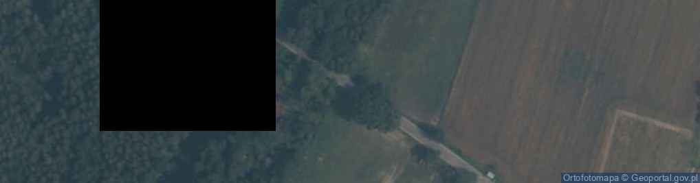 Zdjęcie satelitarne Ryzyko kolizji ze zwierzętami