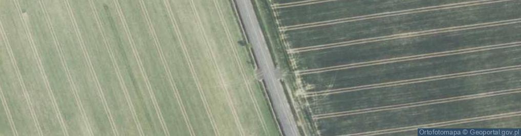 Zdjęcie satelitarne Ryzyko kolizji ze zwierzętami
