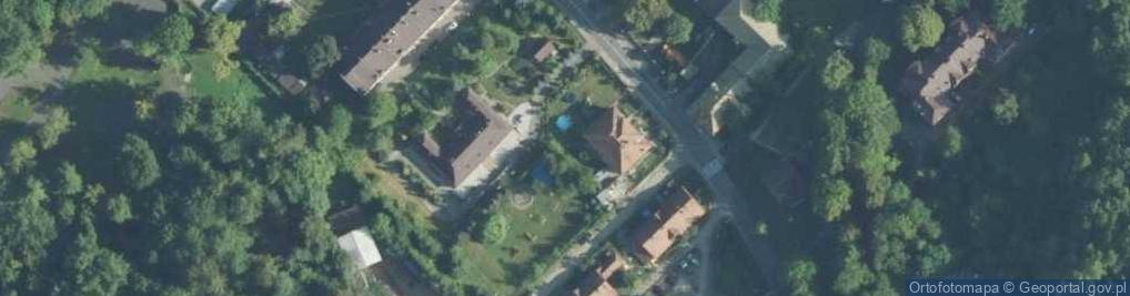 Zdjęcie satelitarne Figura Gryfa Brzeska