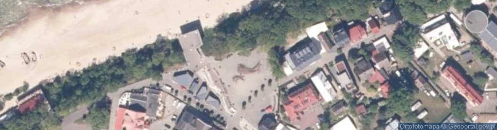 Zdjęcie satelitarne Wieloryby