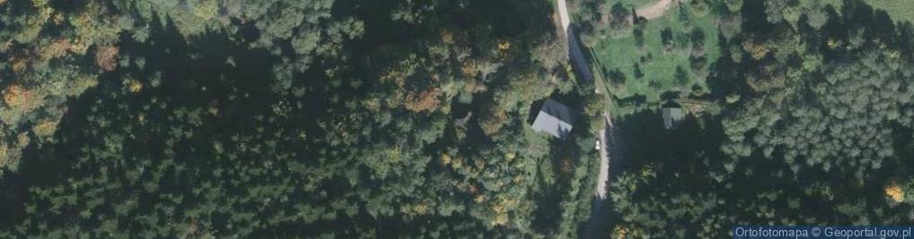 Zdjęcie satelitarne Kaplica Leśna