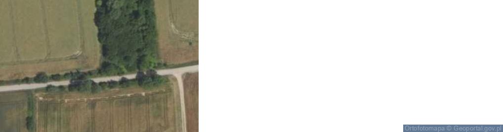 Zdjęcie satelitarne Wniebowzięcia NMP