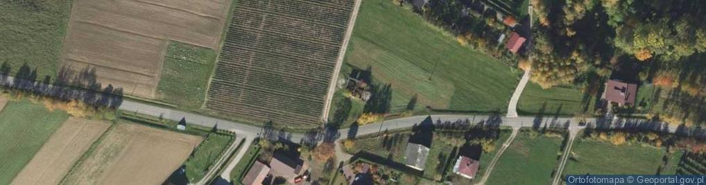 Zdjęcie satelitarne Dwór w Brzeznej