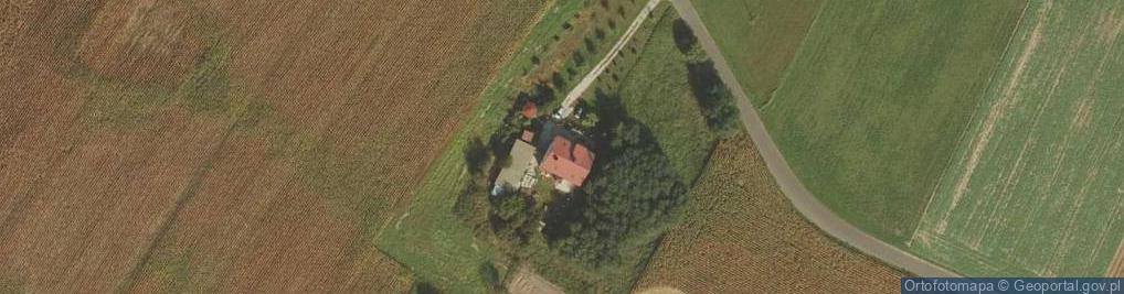 Zdjęcie satelitarne Hołowińscy-Scanserwis Sp. z o.o.