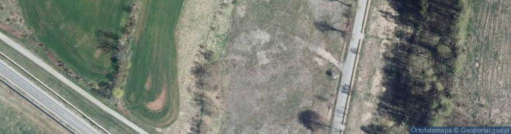 Zdjęcie satelitarne Sinsay - Sklep odzieżowy