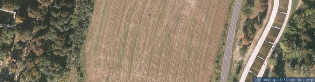 Zdjęcie satelitarne Sinsay - Sklep odzieżowy