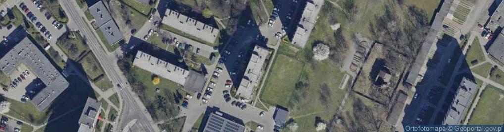 Zdjęcie satelitarne PijNoni Joanna Laskowska