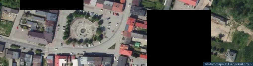 Zdjęcie satelitarne Świat Choinek