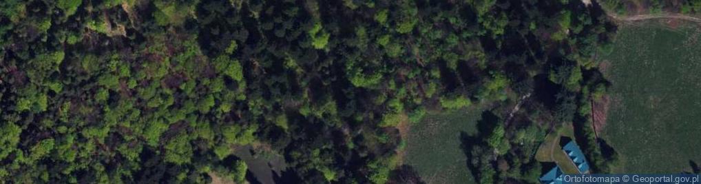 Zdjęcie satelitarne Jaz stały