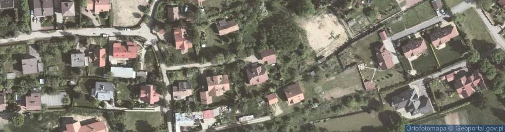 Zdjęcie satelitarne Salix Alba Wojciech Łopatka - Przewodnik Wędkarski