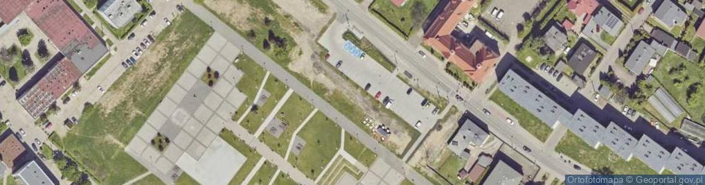 Zdjęcie satelitarne AgroSad Sp. z o.o.
