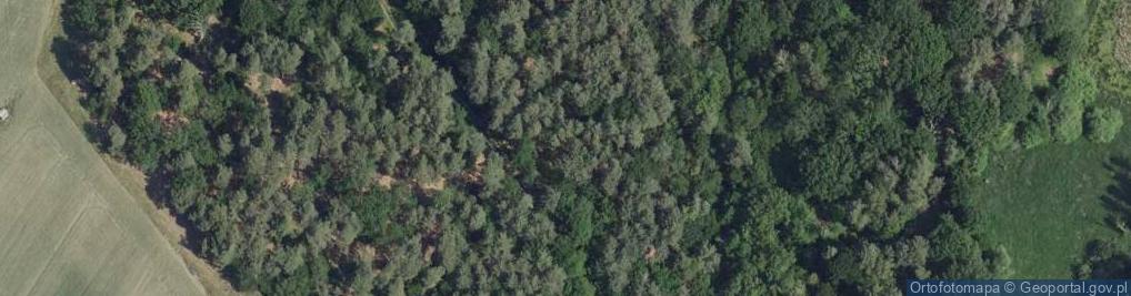 Zdjęcie satelitarne Sklep Spożywczo Przemysłowy Danka