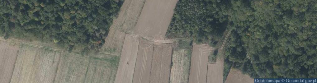 Zdjęcie satelitarne Sklep Spożywczo Przemysłowy