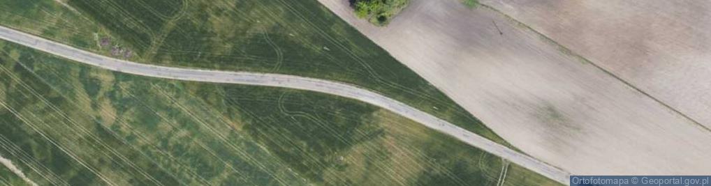 Zdjęcie satelitarne Sklep Spożywczo Przemysłowy