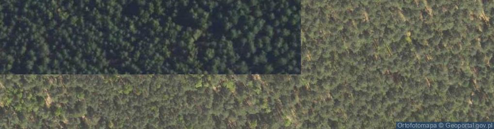 Zdjęcie satelitarne Sklep Spożywczo Przemysłowy