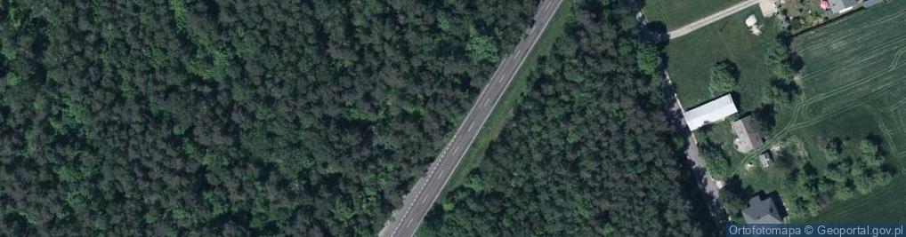 Zdjęcie satelitarne Grzyby oraz jagody